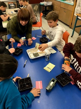 Seed Sowing with SES 1