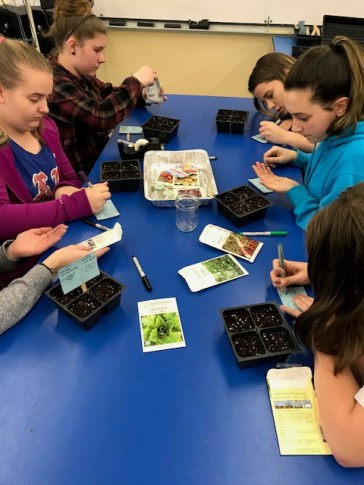Seed Sowing with SES 2